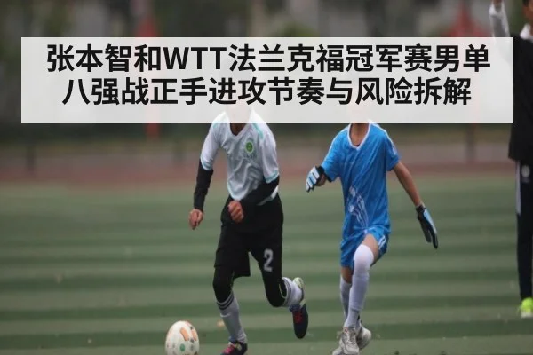 张本智和WTT法兰克福冠军赛男单八强战正手进攻节奏与风险拆解